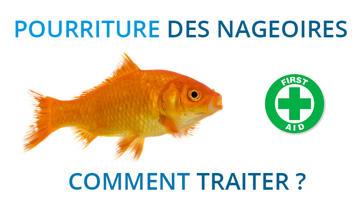 La préparation des helminthes acheter à minske